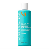 SHAMPOO MOISTURE REPAIR REPAIR 250 ml